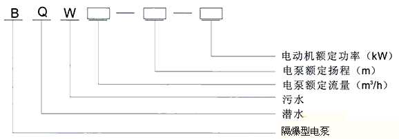 BQW礦用潛水排污泵型號(hào)意義